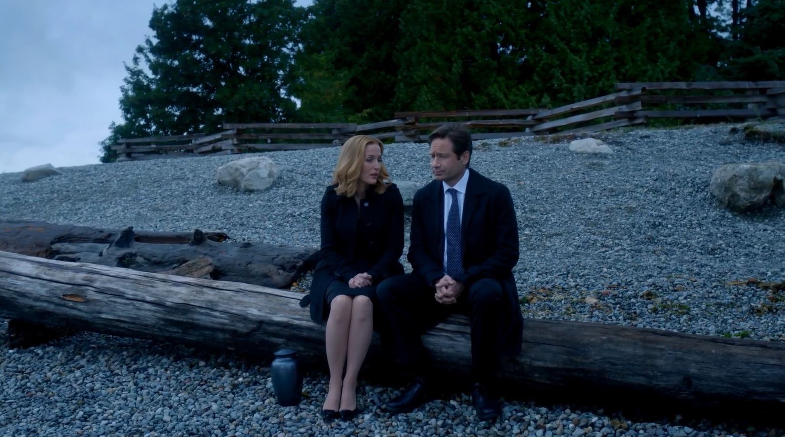 The X-Files Home Again