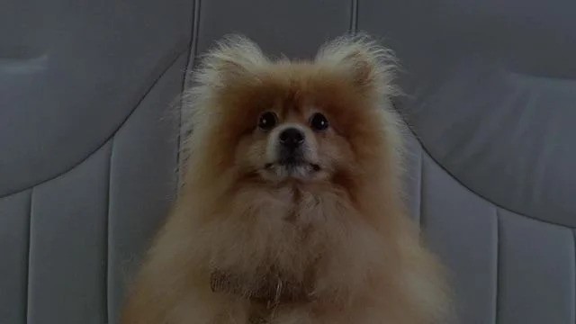 The X-Files Queequeg's Adventures 