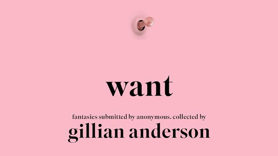 Want: Women's Fantasies in the Twenty-First Century