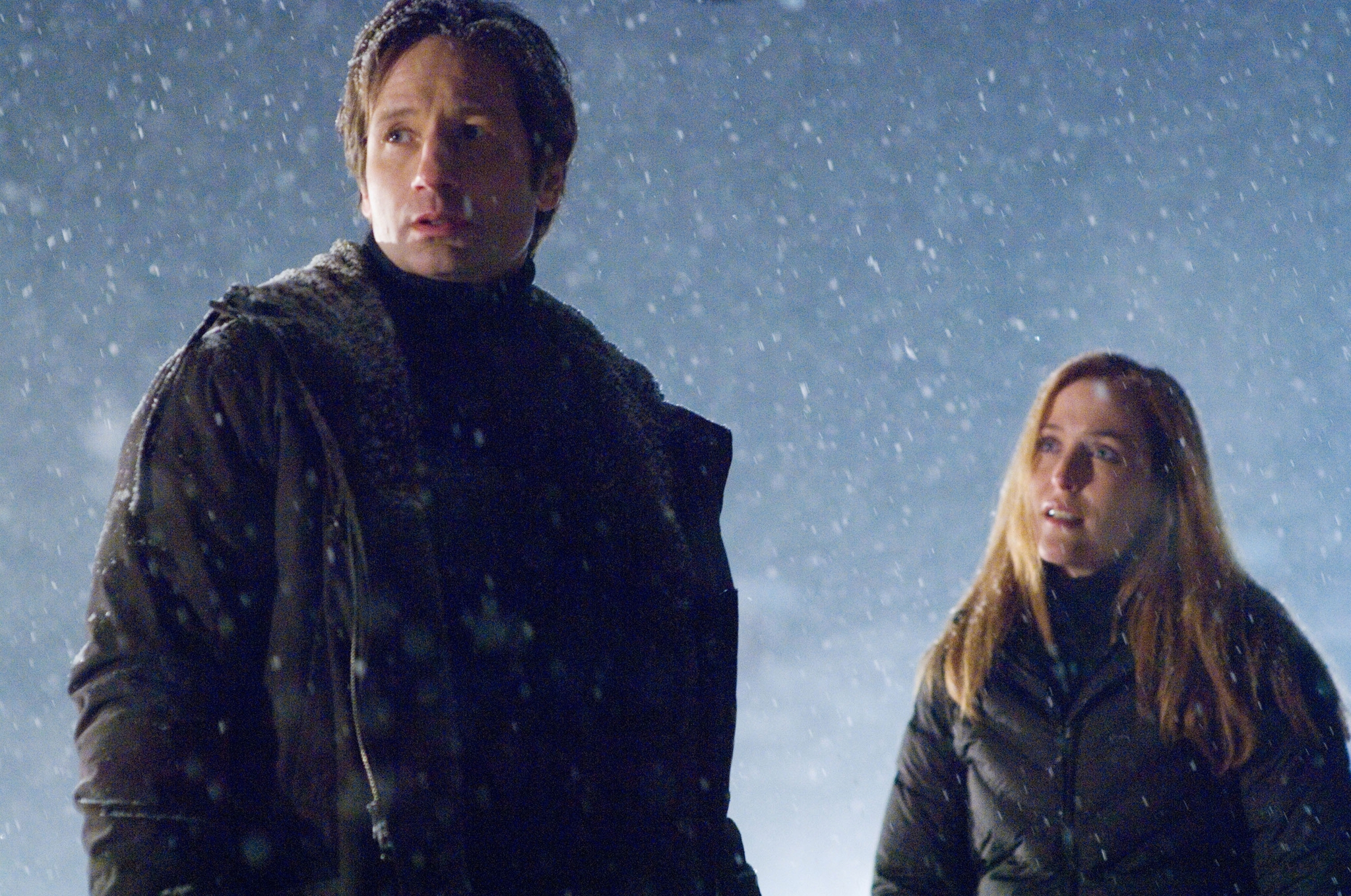 The X-Files: I Want to Believe Director's Cut